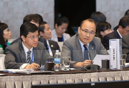 SOM 1 : Promouvoir les priorités de l’Année de l’APEC 2017 - ảnh 1